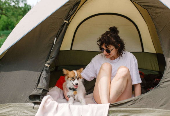 dog friendly campsite Peak District Derbyshire