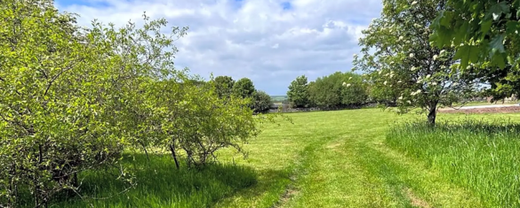 quiet countryside campsite